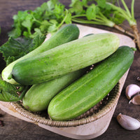 Komkommer 'Sonja F1' - BIO