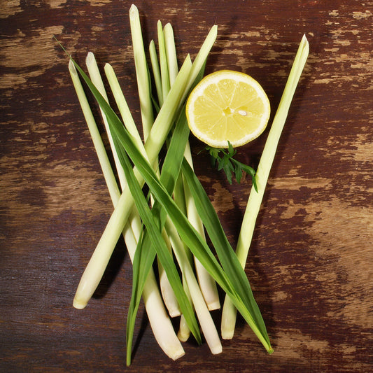 Citroengras - Bakker