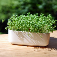 Tuinkers Cresso Bio - Bakker