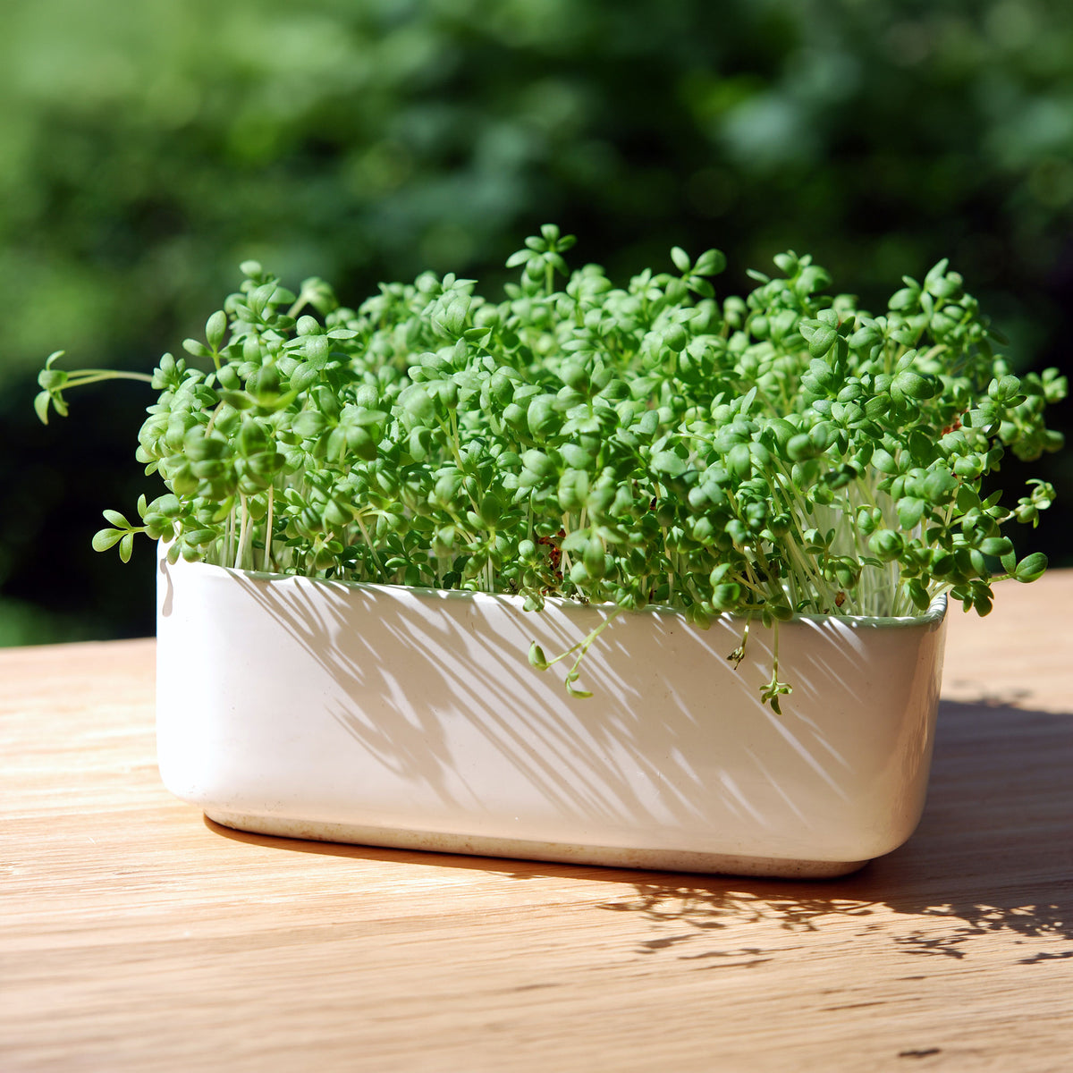 Tuinkers Cresso Bio - Bakker