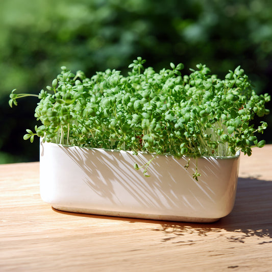 Tuinkers Cresso Bio - Bakker