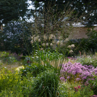 Pijpenstrootje Skyracer - Bakker