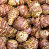 Verkoop Paarse aardpeer (x5) - Helianthus tuberosus