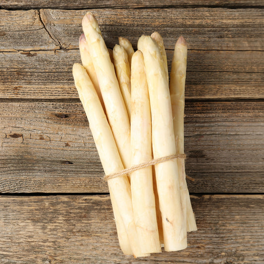 Asperge 'Argenteuil' (x10) - Bakker
