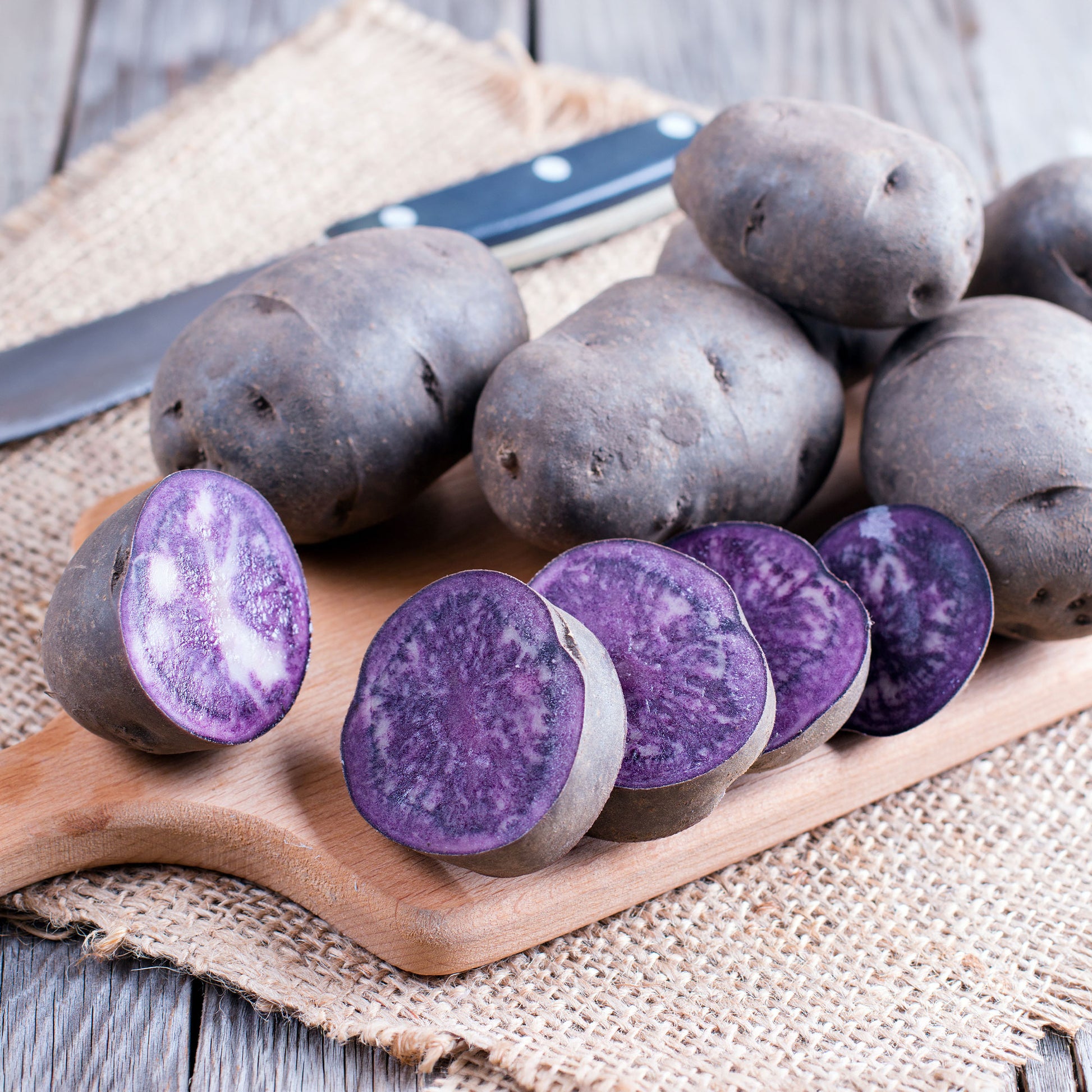 Aardappel 'Ulysse' - BIO - Solanum tuberosum ulysse - Bakker