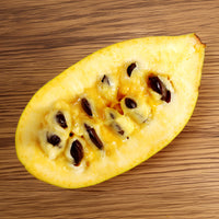 Verkoop  - Asimina Triloba Prima