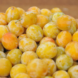 Pruimenboom 'Reine-Claude d'Oullins' - Bakker