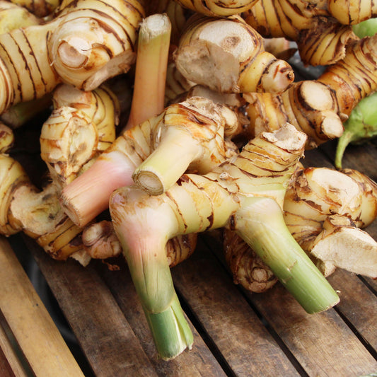 Laos / Thaise gember - Bakker