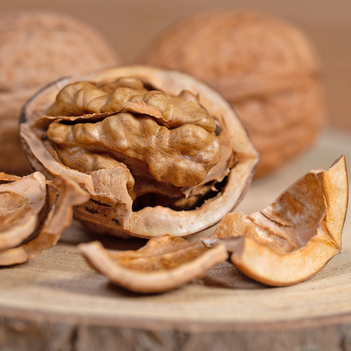 Juglans regia Buccaneer - Walnotenboom Buccaneer - Walnotenboom