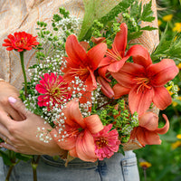 Lilium asiaticum red - Aziatische lelies en veldbloemen Mix - Lelie