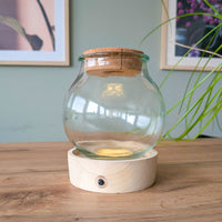 Hydro bolglas + LED verlichting - Bakker