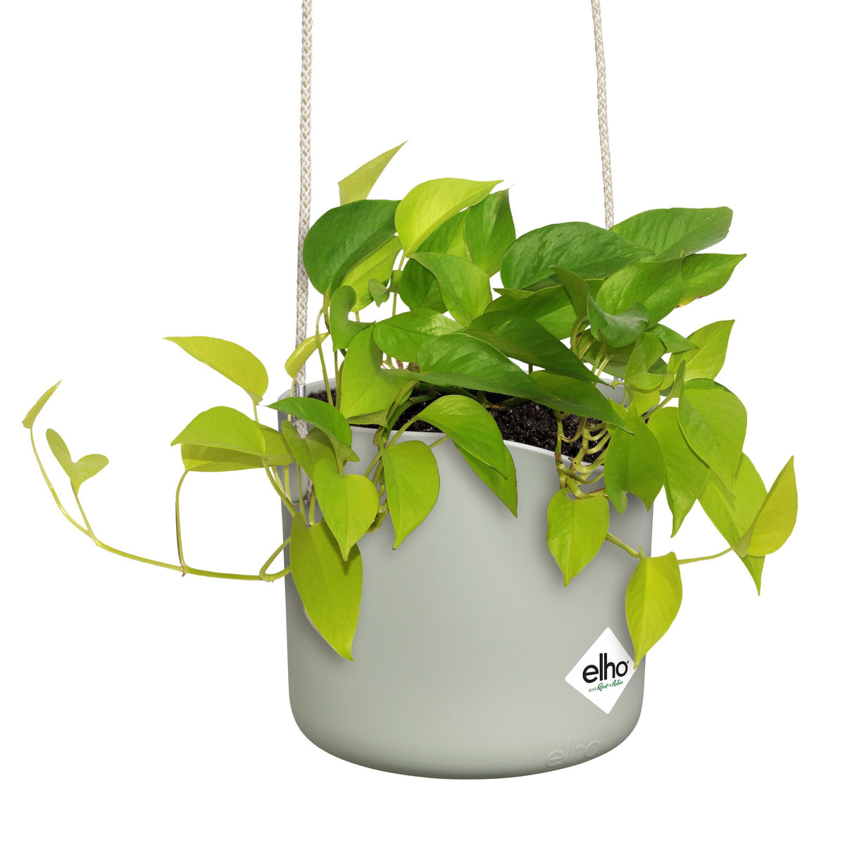 Verkoop Hangpot B voor swing lichtgroen ELHO