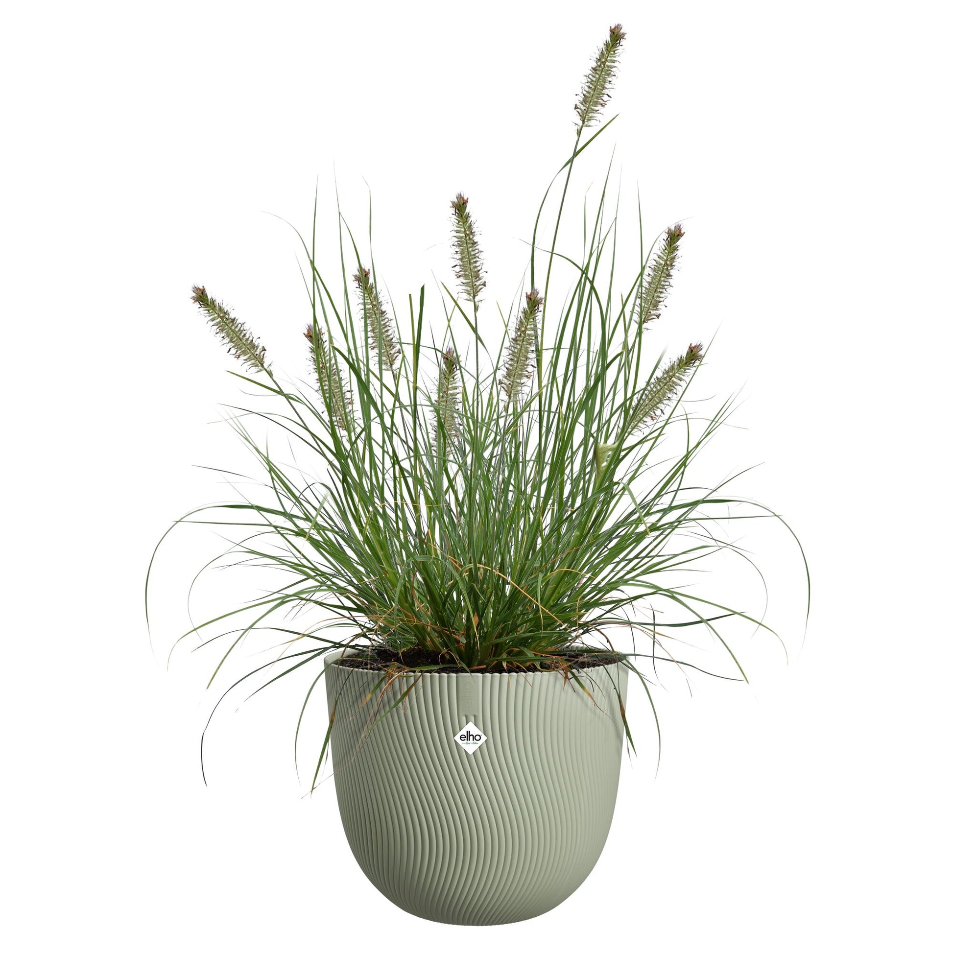 Bloempot Sereh rond scandinavisch groen -  - Bakker