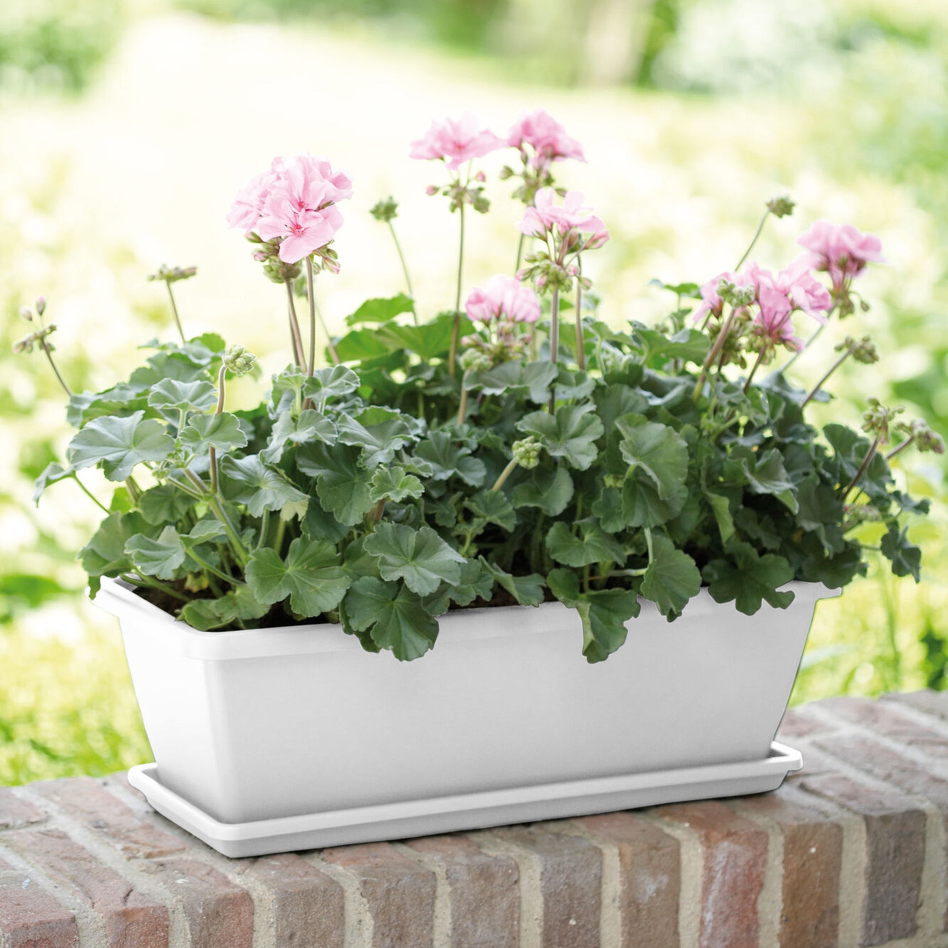 Plantenbak Barcelona Wit - Bakker