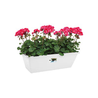 Plantenbak Barcelona Wit -  - Bakker