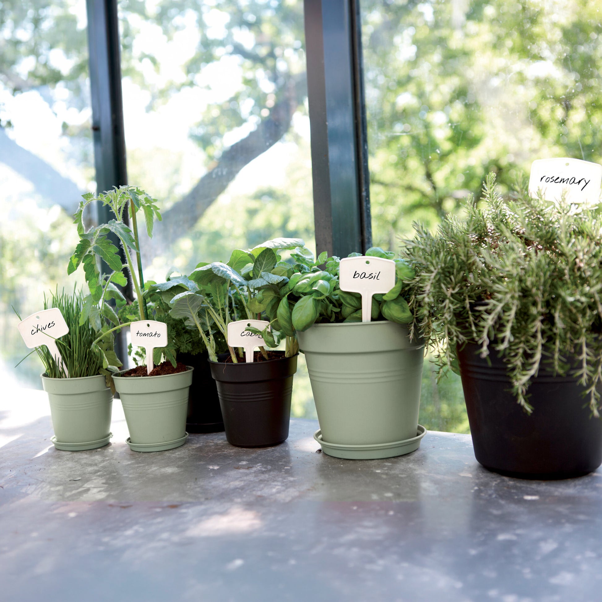 Kweekpot Green Basics Mild Terra -  - Bakker