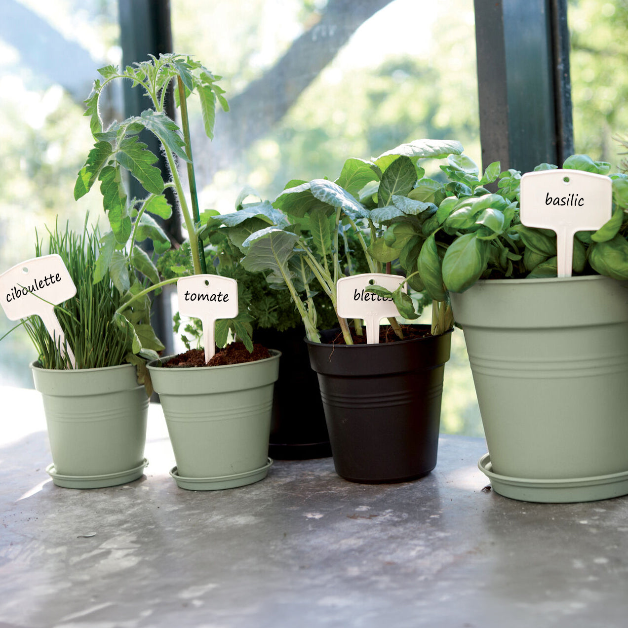  - Schotel Green Basics  Steengroen ELHO - Buitenpotten