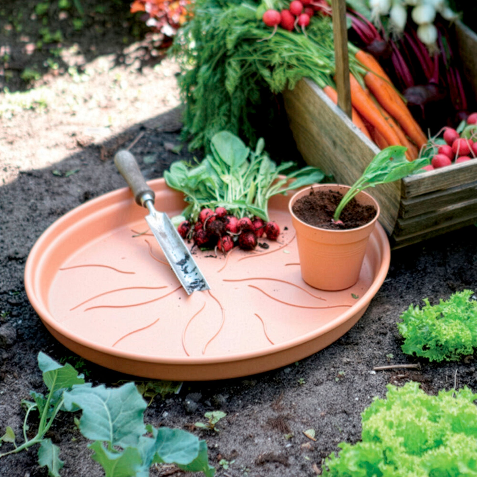 Schotel Green Basics Mild Terra ELHO -  - Bakker