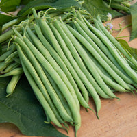 Sperzieboon 'Contender' - Bakker