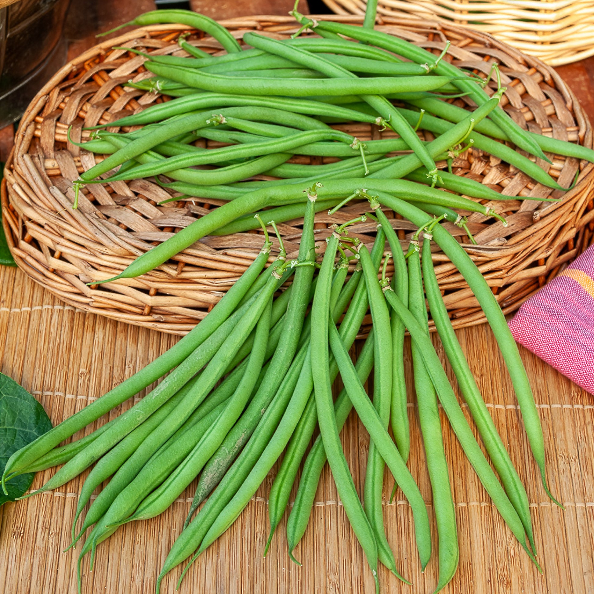 Sperzieboon 'Mangetout Castandel' - Bakker