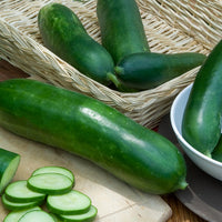 Komkommer - lang - Cucumis sativus vert long maraîcher - Bakker