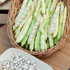 Stamdroogboon 'Coco Blanc Précoce' - Bakker