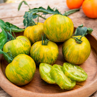 Moestuinplanten - Tomaatplanten 'Green Zebra' - Solanum lycopersicum green zebra