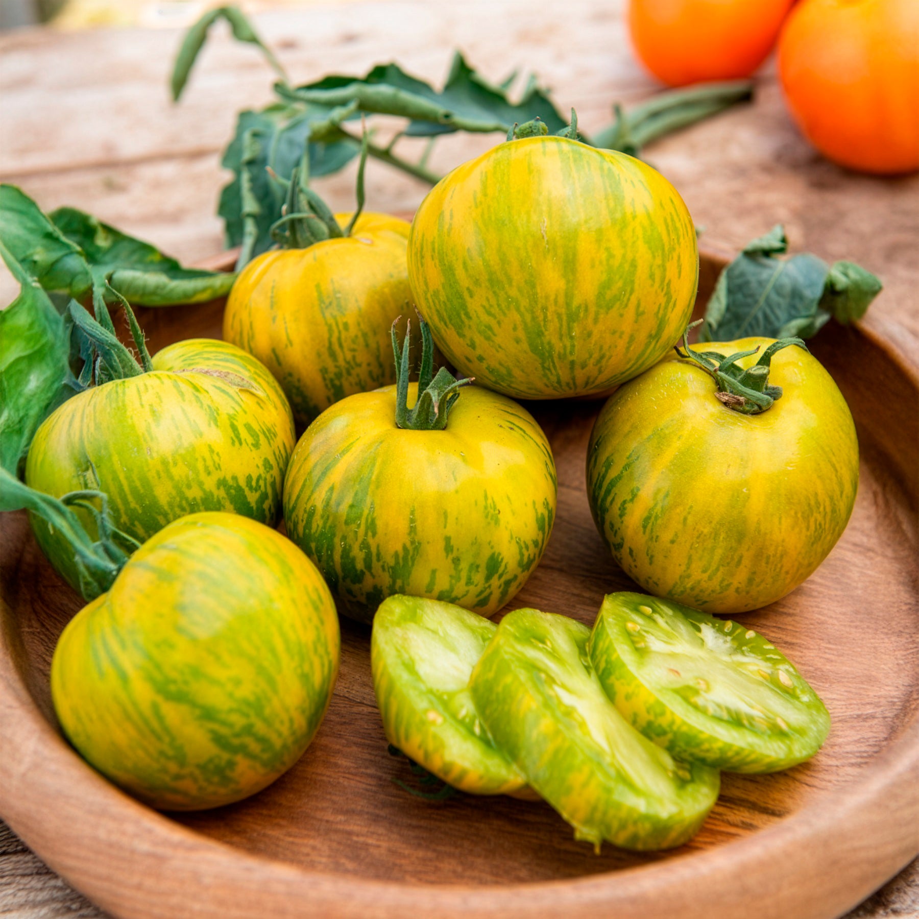Moestuinplanten - Tomaatplanten 'Green Zebra' - Solanum lycopersicum green zebra