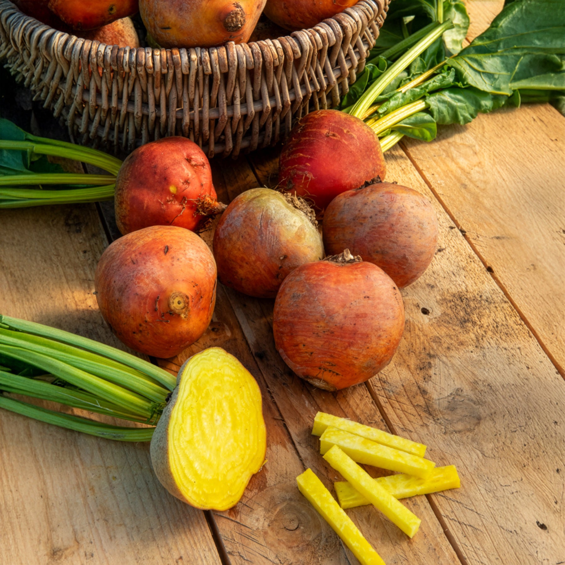 Rode biet Burpees Golden - Bakker