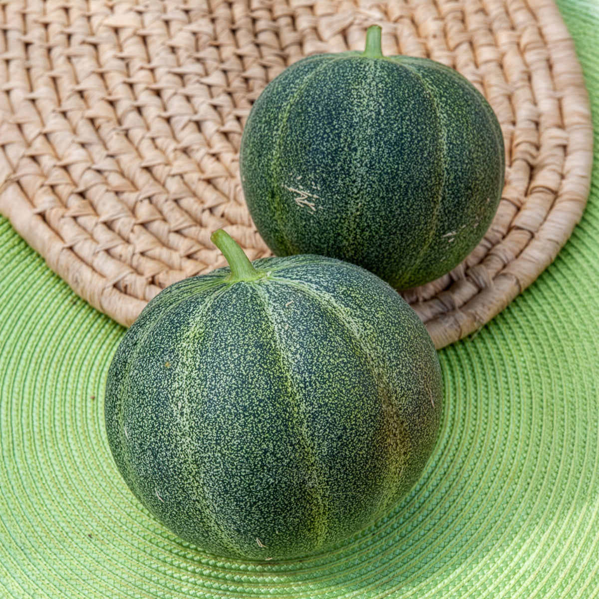Suikermeloen Petit Gris de Rennes - Cucumis melo Petit Gris de Rennes - Bakker