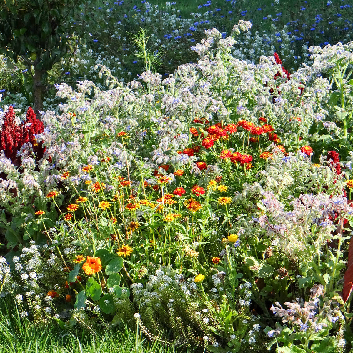 Bloemenmix in slakkenkorrels - Bakker