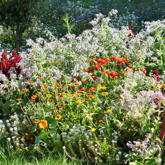Bloemenmix in slakkenkorrels - Bakker