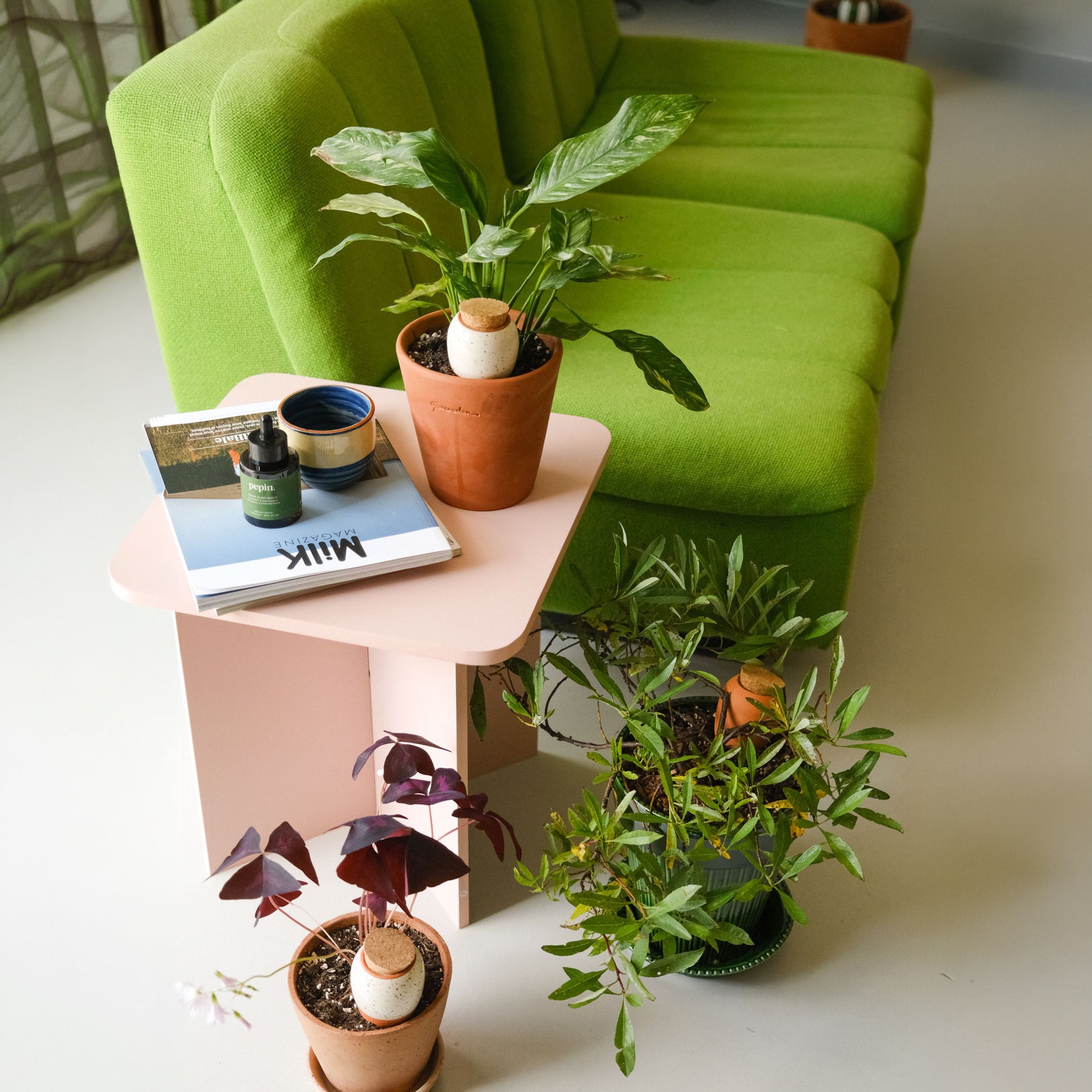 Verkoop Olla - Korrelig wit - 