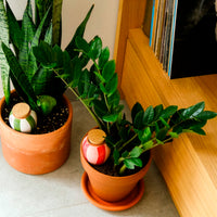 Mini Olla Trio – gestreept -  - Bakker