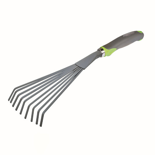 Kleinbladige brem - Bakker