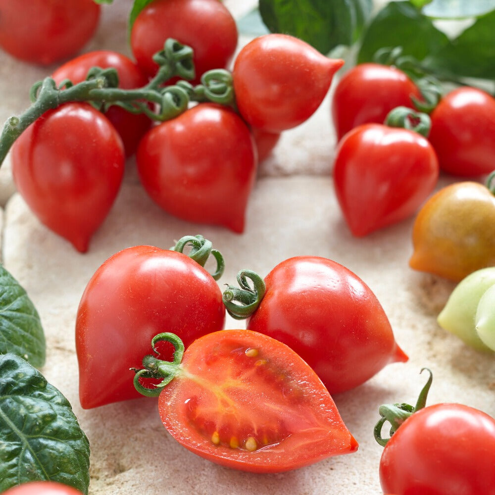 Tomate-cerise Coeur d'amour - Solanum lycopersicum heartbreaker vita f1 - Bakker