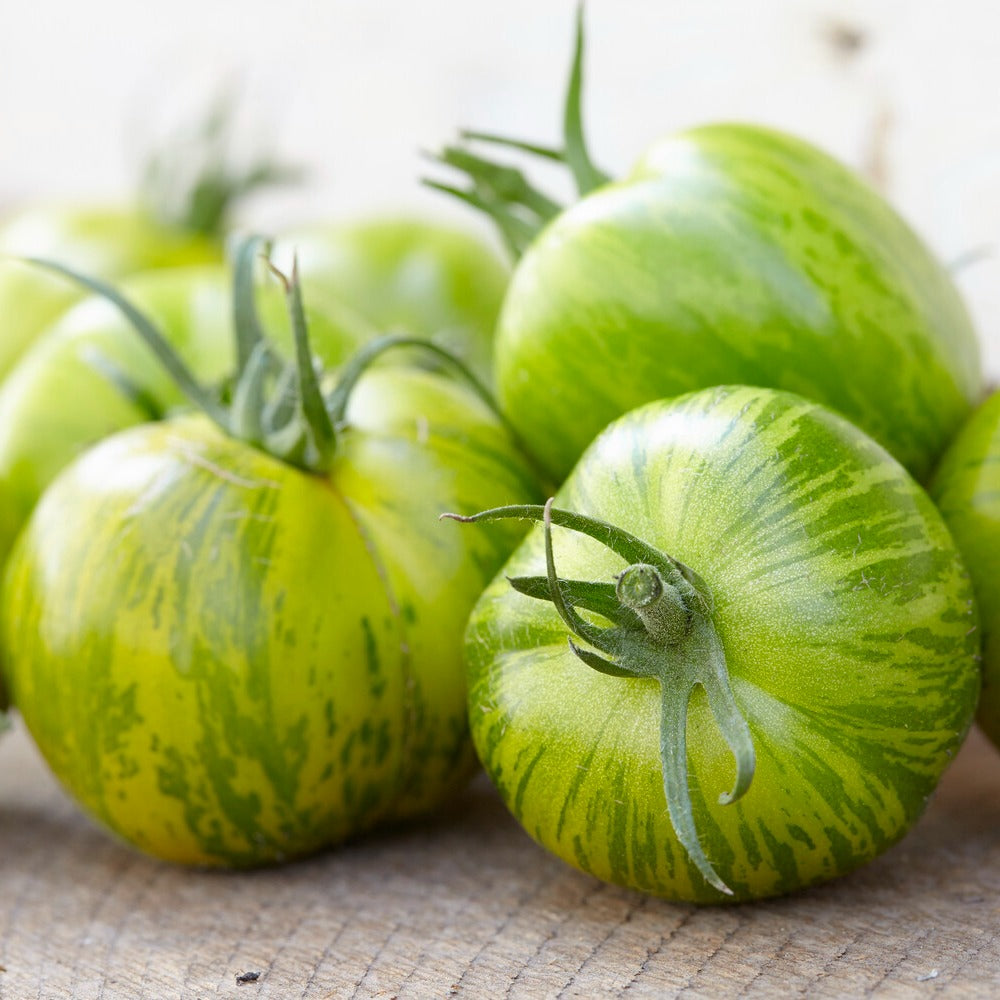 Tomaat 'Green Zebra' zaden - Lycopersicon lycopersicum Green Zebra - Bakker