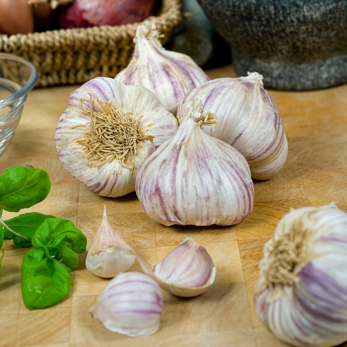 Paarse knoflook 'Germidour'