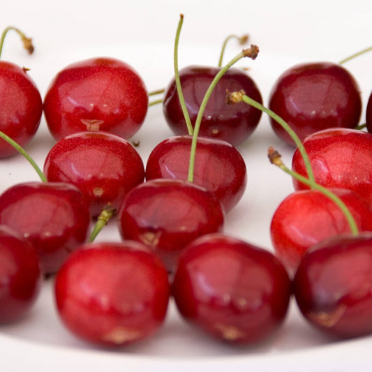 Zoete kers Sunburst - Bakker