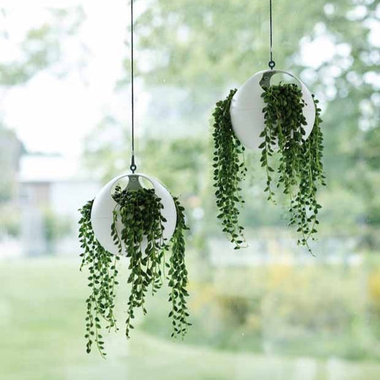 Elho b.for soft air - Bakker