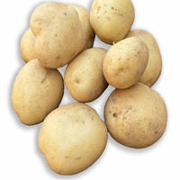 Aardappel 'Vitabella' - BIO - Solanum tuberosum vitabella - Aardappels