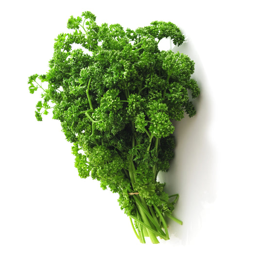 Krulpeterselie - Bakker