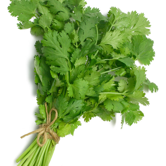 Koriander - Bakker