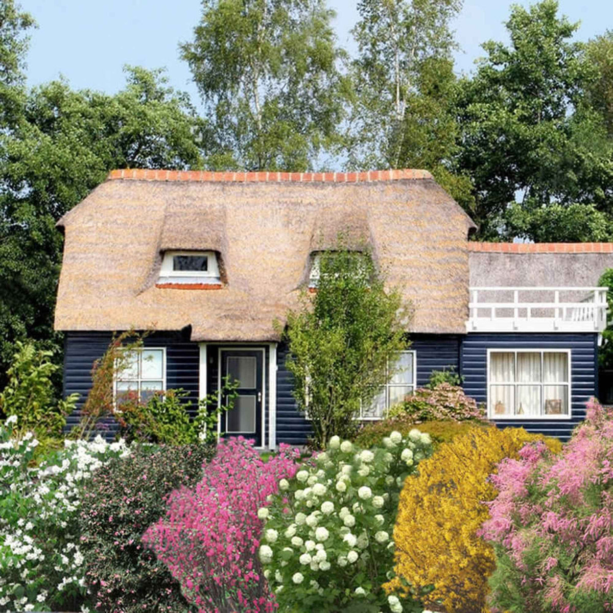 Vier jaargetijden haag - Mix - Tamarix, forsythia, philadelphus, ribes, symphonicarpus, viburnum - Bakker