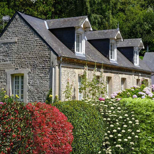 Groenblijvende haag - Mix (x5) - Bakker