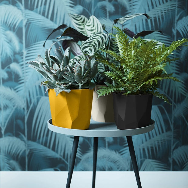 Elho Bloempot B for rock - living black