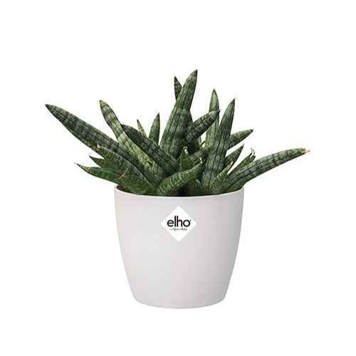 Elho Bloempot Brussels rond - wit - Bakker