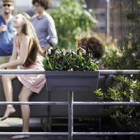 Elho balkonbak Loft urban allin1 rechthoekig antraciet - Buitenpot - Bakker