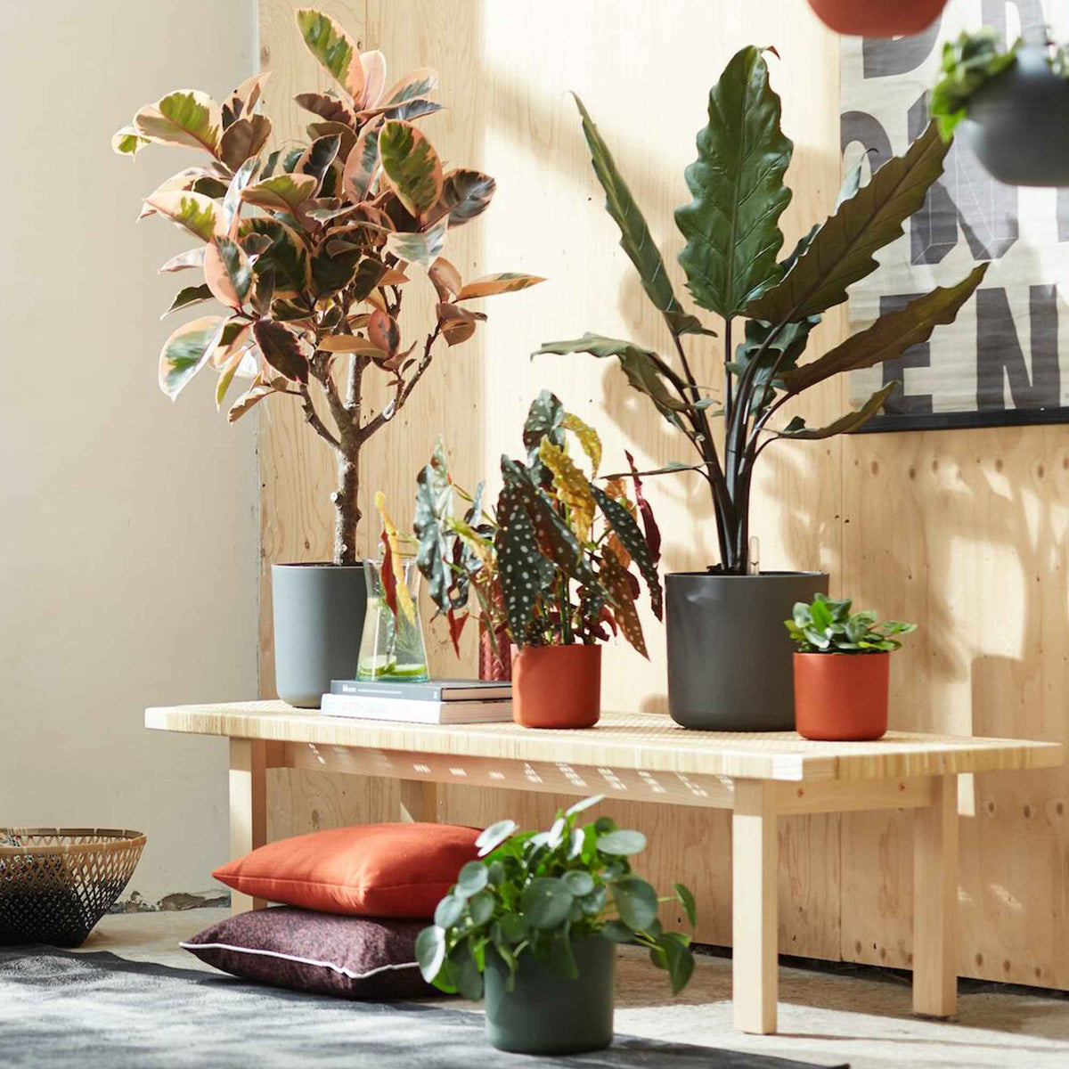 Onderhoud en Materiaal  - Elho bloempot B.for soft rond antraciet - Binnenpot - 