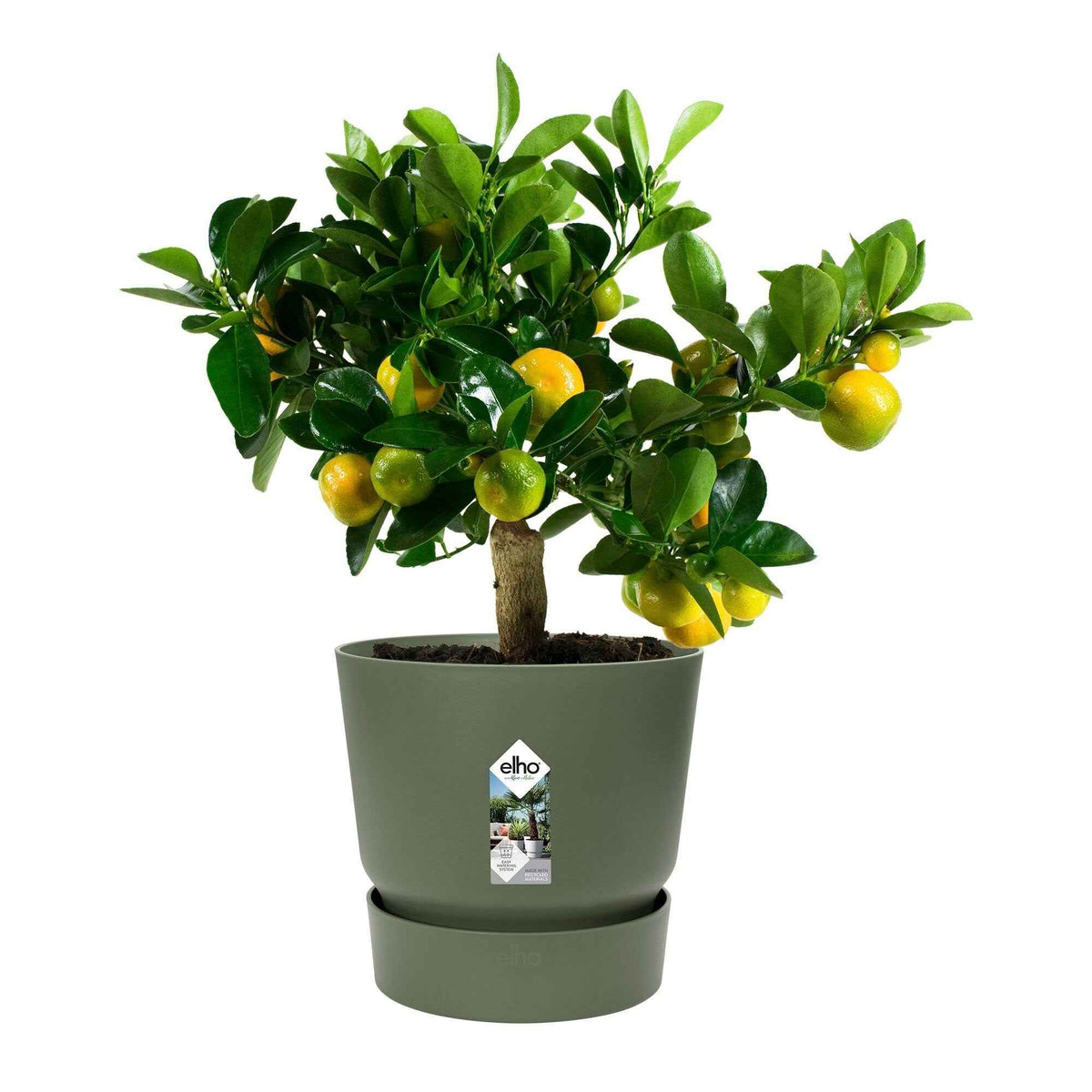 Bloem- en plantenbakken - Bloempot Elho greenville bladgroen - 